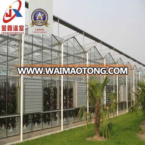 Vegetable Growing Intelligent Glass Greenhouse