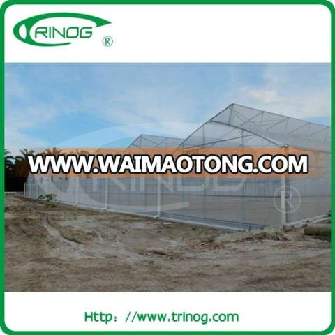 Easy Assembly no welding EU Greenhouse for large farm