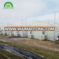 Hot Sale Easily Installed Agricultural Greenhouse/aquaponic greenhouse