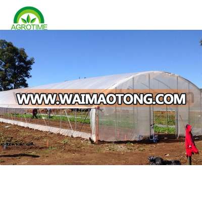 Professional Agricultural Reinforced Commercial Plastic Greenhouses With ISO 9001 Certification