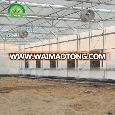 fiberglass greenhouse for vegetable