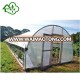 Agricultural single span agriculture film greenhouse for sale