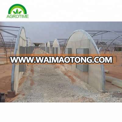 Economy Round Single Tunnel commercial greenhouse for planting