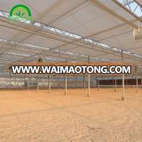 plastic multi-span greenhouse for sale in China