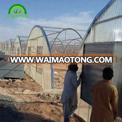 Commercial polycarbonate tunnel greenhouse for sale