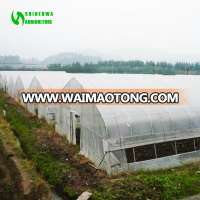 Factory Price Mini Greenhouse With High Quality