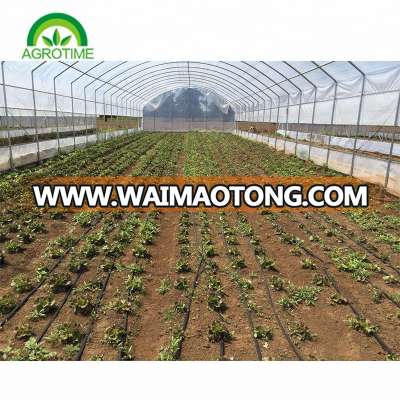 Commercial plastic film Green house for vegetables