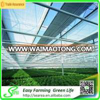 commercial farming PC sheet greenhouse shade green house design