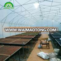 2016 PE/EVA Cheap Poly Butterfly Agriculture Potato Tunnel Greenhouse