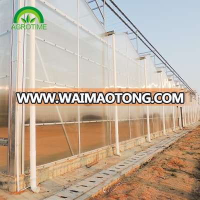 flowering cherry growing greenhouse for sale in China