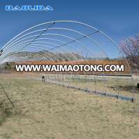 Hot sale agricultural poly tunnel steel frame greenhouse