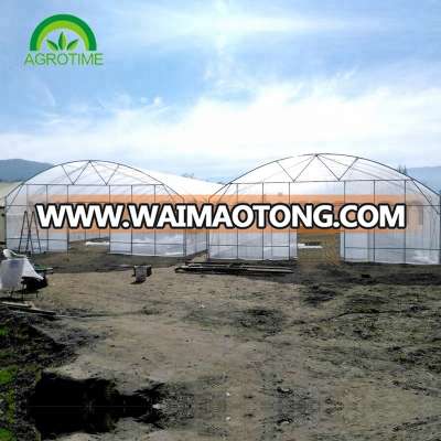 Single-span poly film green house for tomatoes/cucumbers