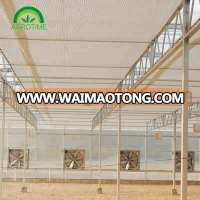 desert rose growing greenhouse for sale in China