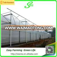 hot sale polucardonta greenhouse shade green house design