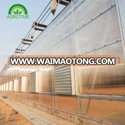 High Quality Commercial Pc Sheet Greenhouse For Sale