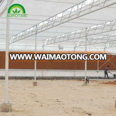 Venlo glass cover metal frame greenhouse