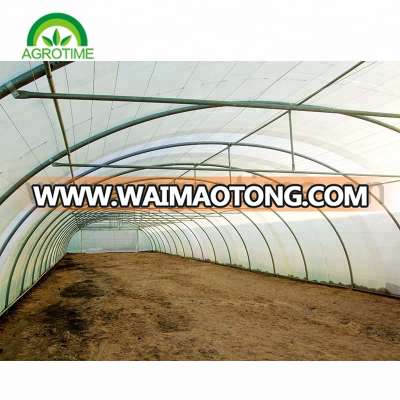 Economical poly greenhouse for large scale cultivation