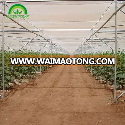 Shade net covering greenhouse for flower growth