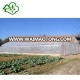 Arch Shape Ventilation Film Agricultural single span Greenhouses