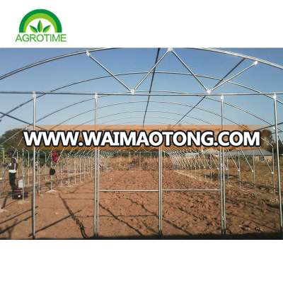 Single Tunnel Greenhouse Economical for large scale growth