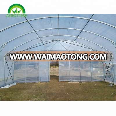 Single tunnel greenhouse invernadero para fruta y verduras