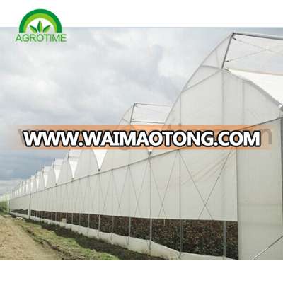 top ventilation butterfly greenhouse for sale