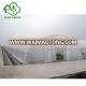 Simple galvanized steel frame plastic film Greenhouse