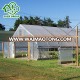 Factory directly sale poly tunnel greenhouse