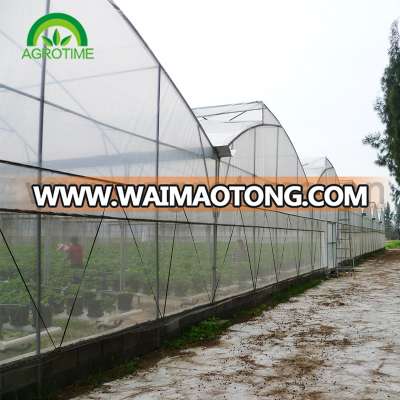 Roof ventilation/fixed window agricultural greenhouse