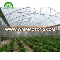 roof window agricultural greenhouse grow tent