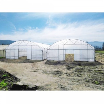 Professional Manufacturers Agriculture Intelligent Film Greenhouse Single Span Pe Film Greenhouses