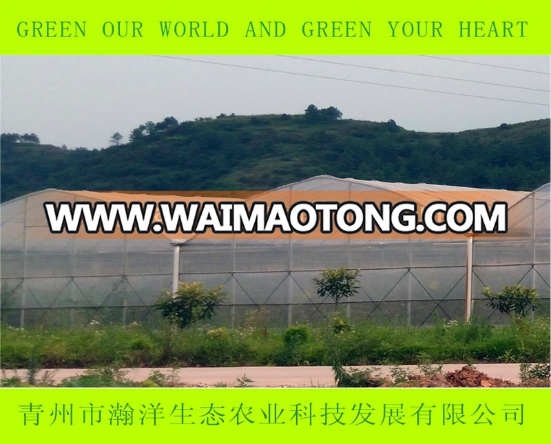 Single span and multi-span agricultural greenhouse by plastic film greenhouse for tomato greenhouse