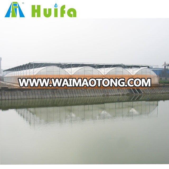 Low cost multi span used commercial greenhouses for sale