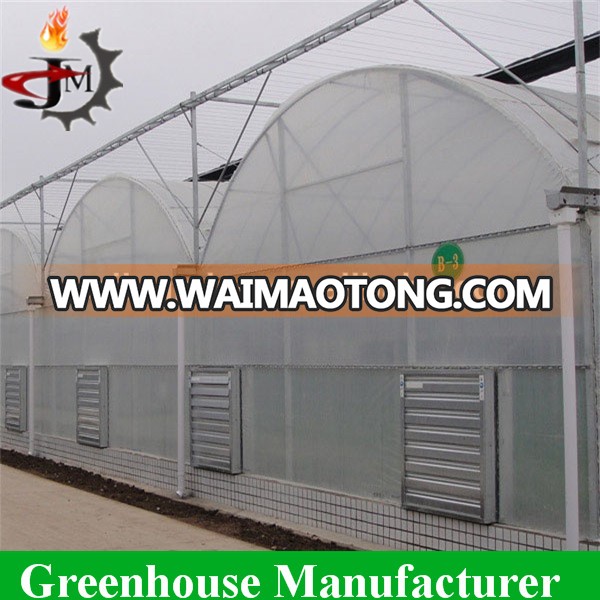 Hot sale discount economical multi-span greenhouses