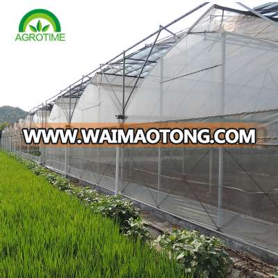 single span/multi span plastic film agricultural greenhouses/vegetable & fruit greenhouses